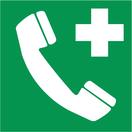 E004 Telefon de salvare