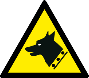 W013 Caine de paza
